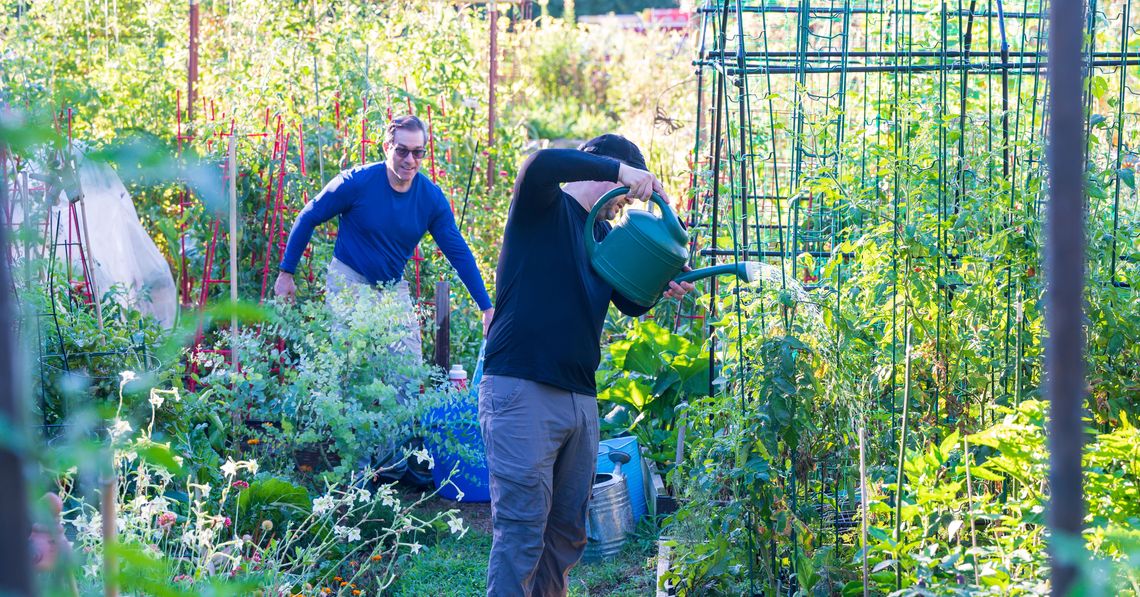 4 Benefits of Community Gardens
