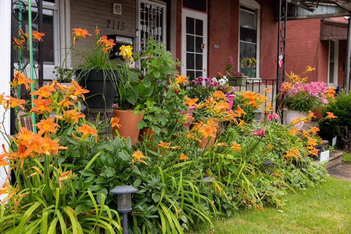 phs 6 17 25 lwyl curb appeal challenge credit morgan horell morganhorellphoto 029