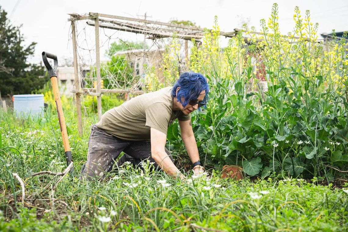 community gardens workday