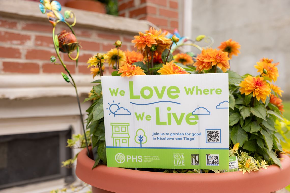 phs 6 17 25 lwyl curb appeal challenge credit morgan horell morganhorellphoto 251