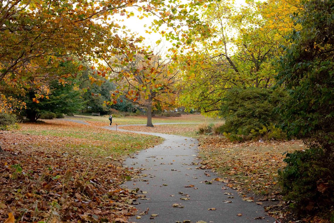 nov 2024 parkway and azalea credit morgan horell 017