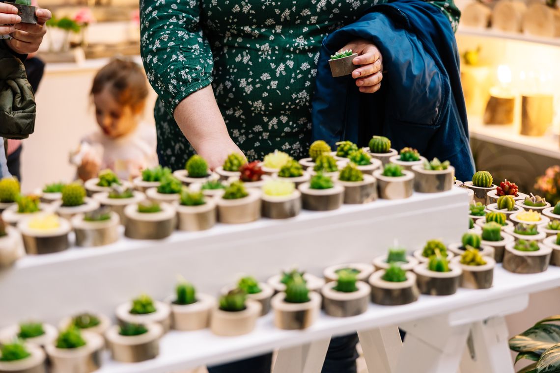phs philadelphiaflowershow2025 beccamathias 0802