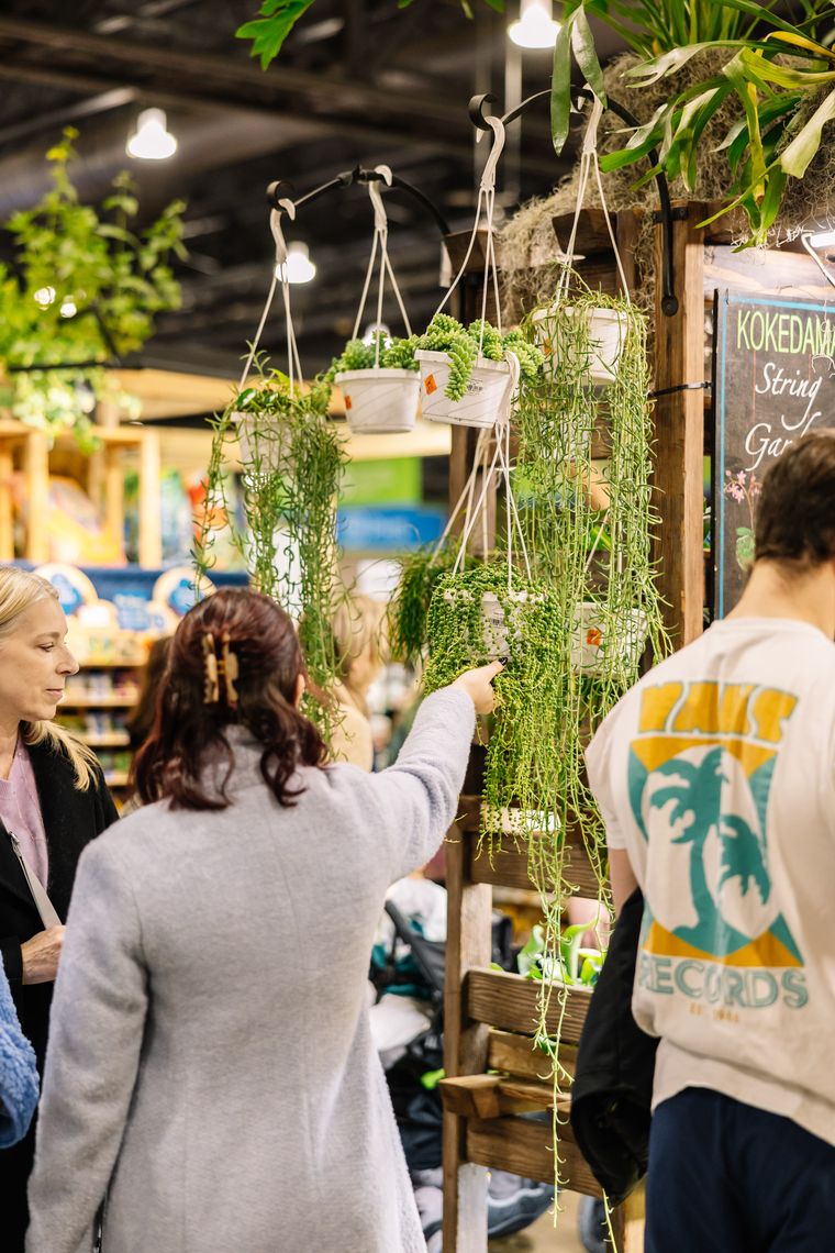 phs philadelphiaflowershow2025 beccamathias 0521