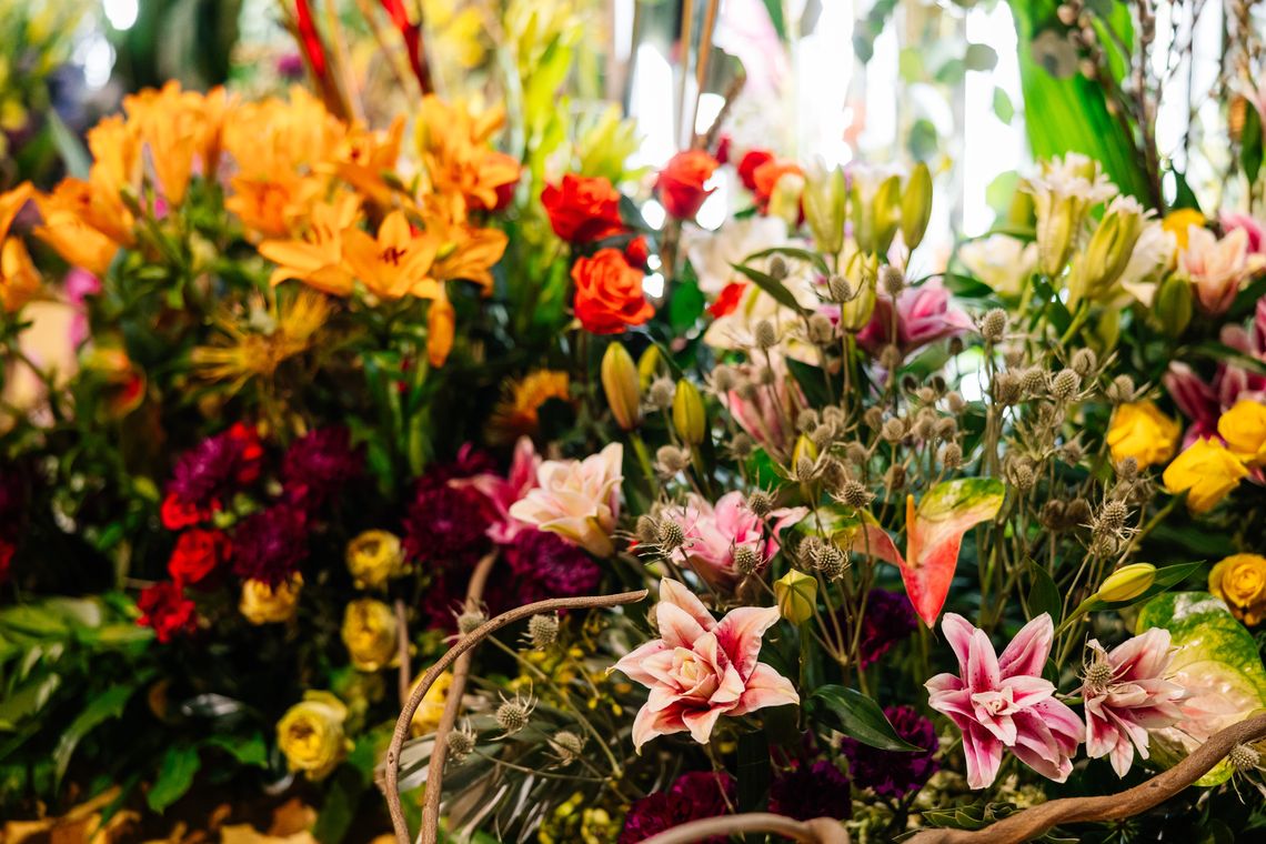 phs philadelphiaflowershow2025 beccamathias 0516