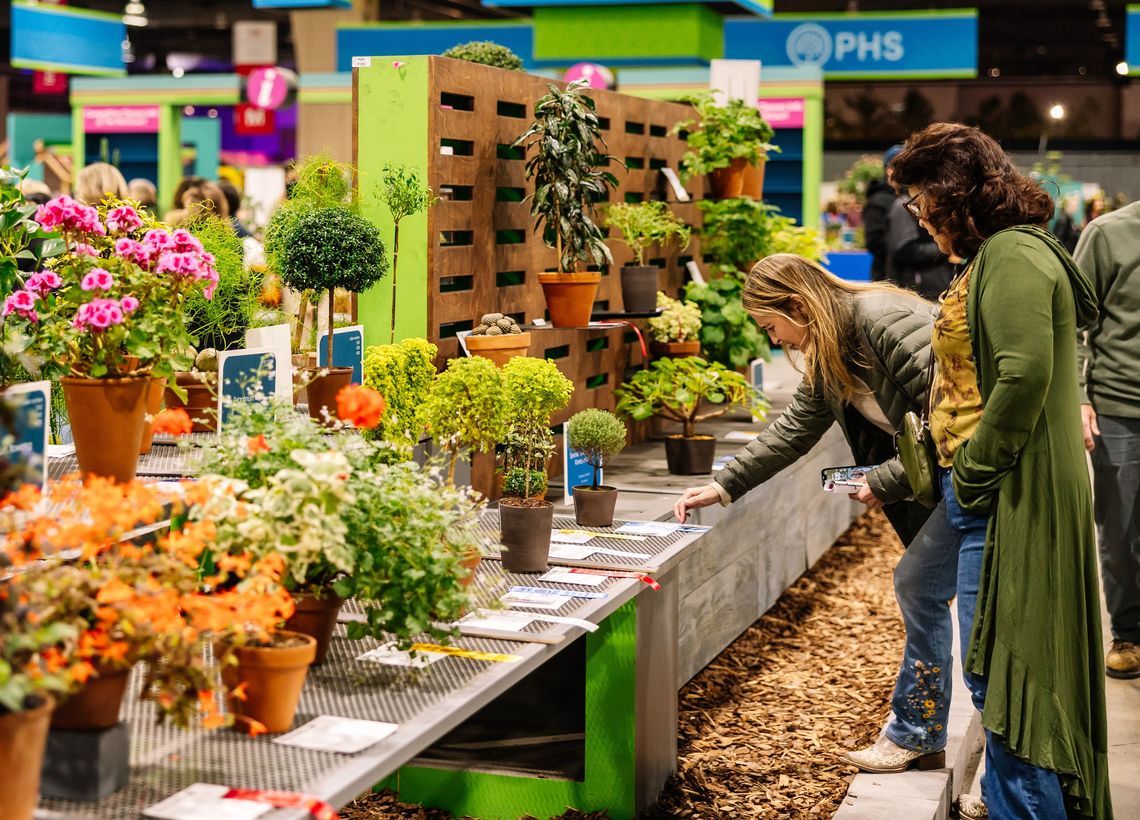 phs philadelphiaflowershow2025 beccamathias 9945