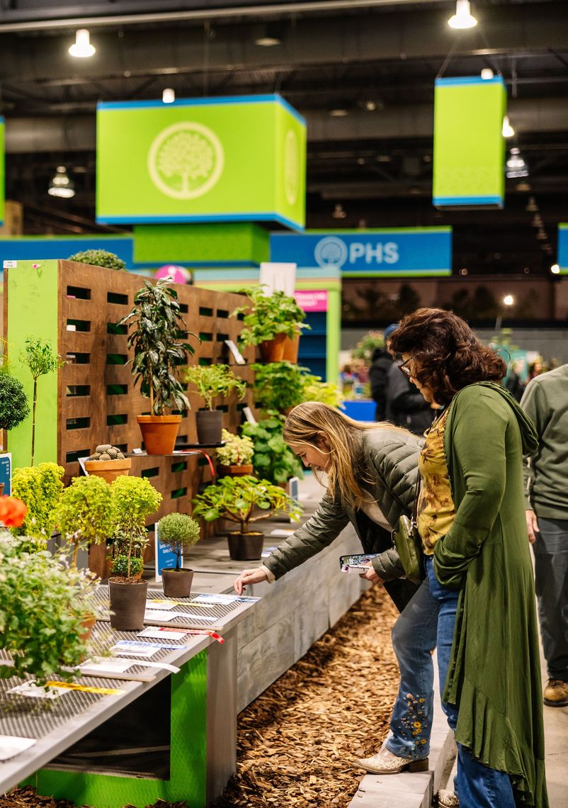 phs philadelphiaflowershow2025 beccamathias 9945