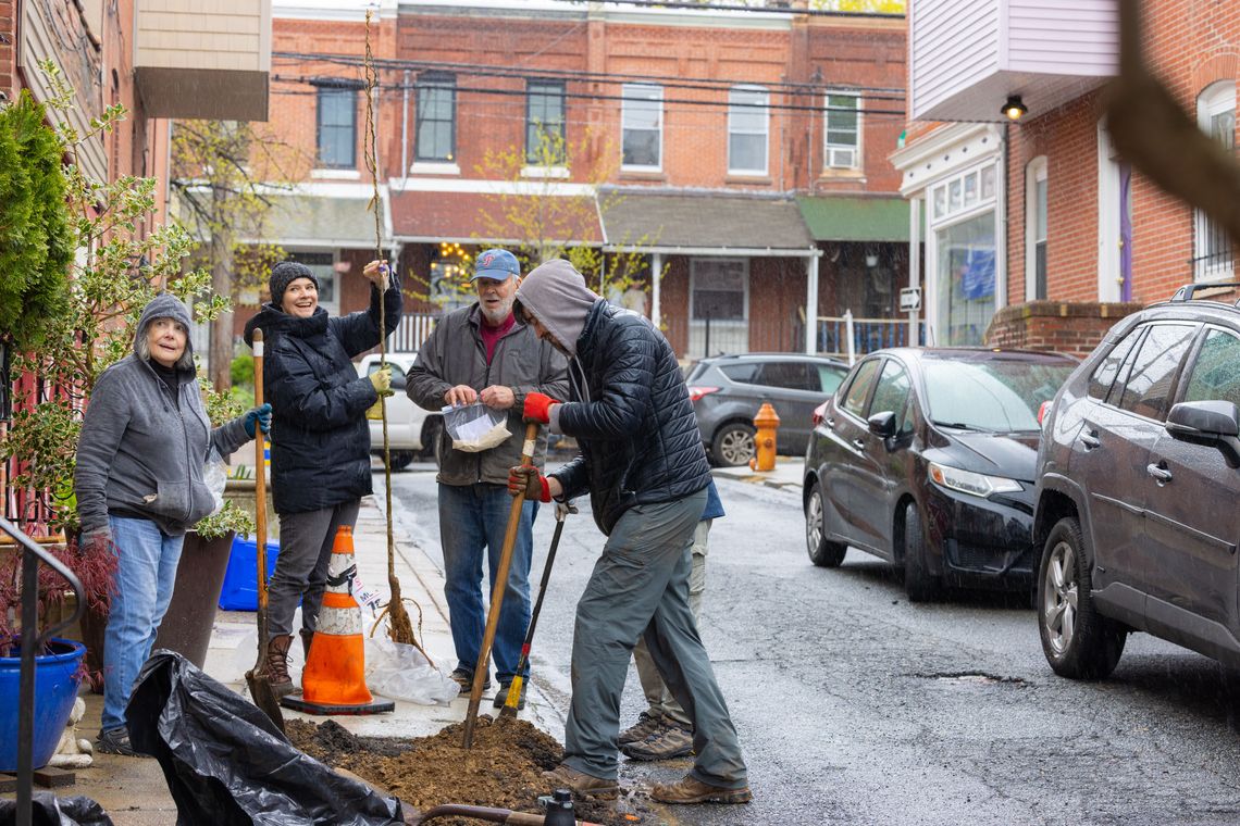 4 11 25 fairmount tree planting credit morgan horell morganhorellphoto 029