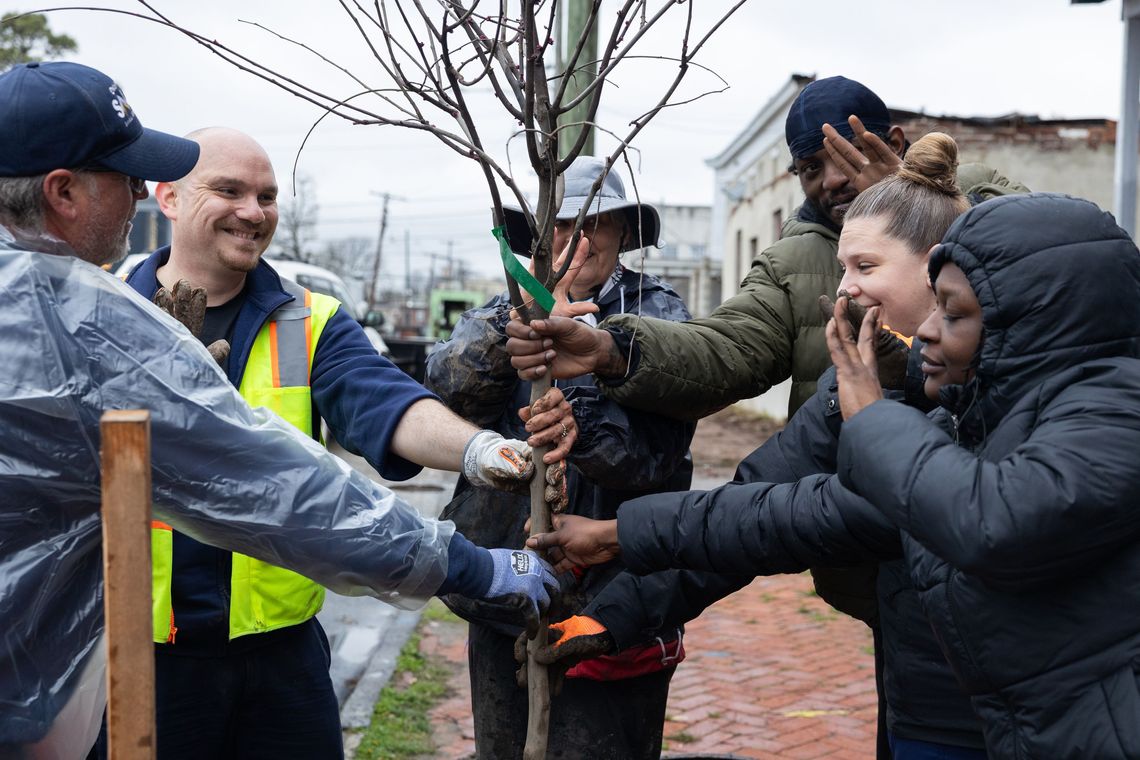 phs treetenders 4 11 114