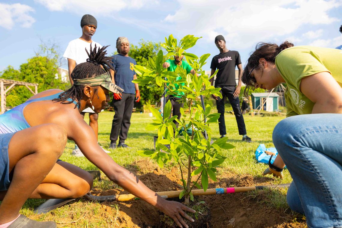 Love Where You Live Tree Planting