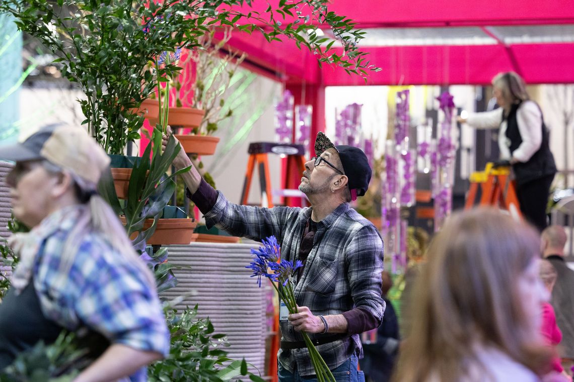 phs flowershow2025 rachelwisniewski 113