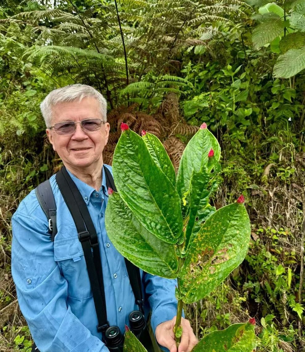 stephen in ecuador with columnea karstenianum