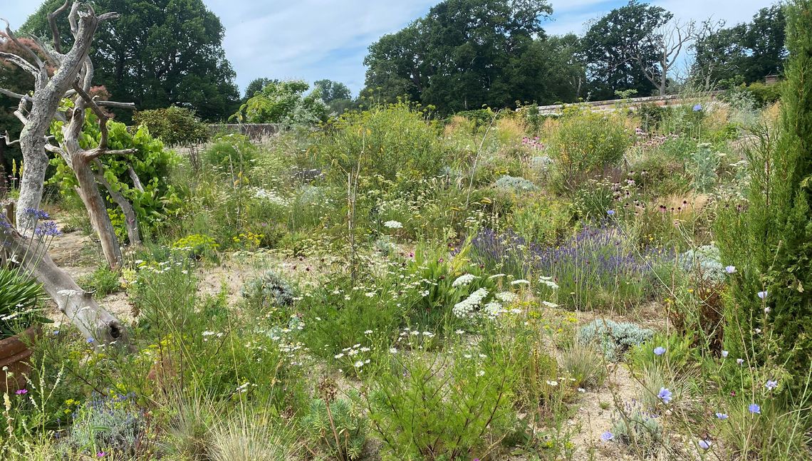 gravel delos credit andrew bunting