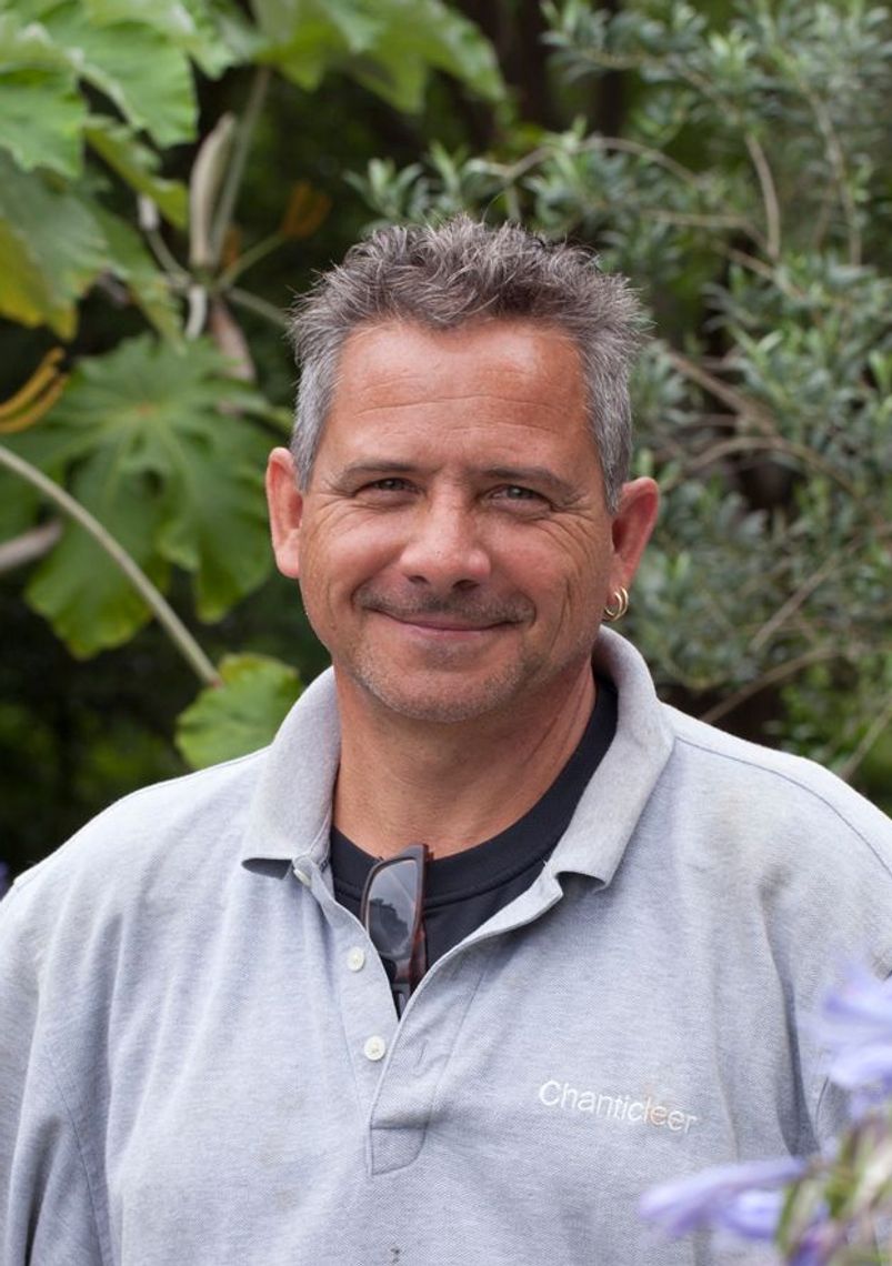 dan benarcik dan 2017