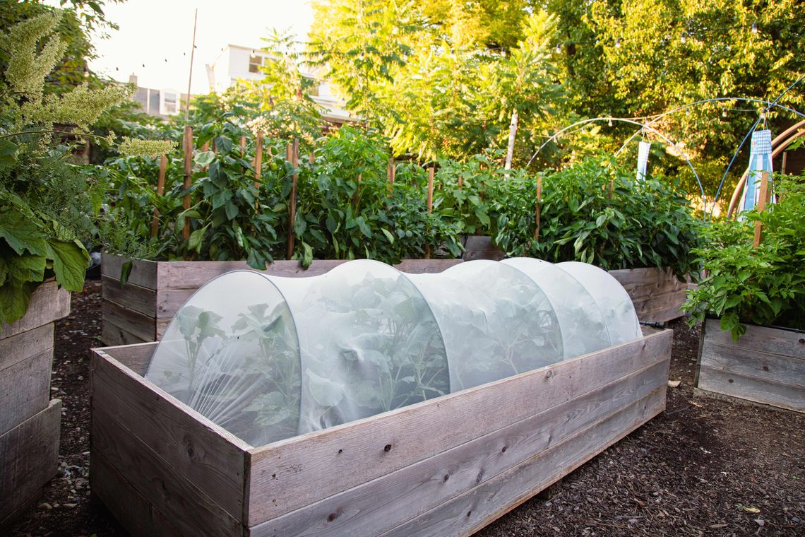 phs leafprintingevent manayunk sept 19 2022 hr 45 1