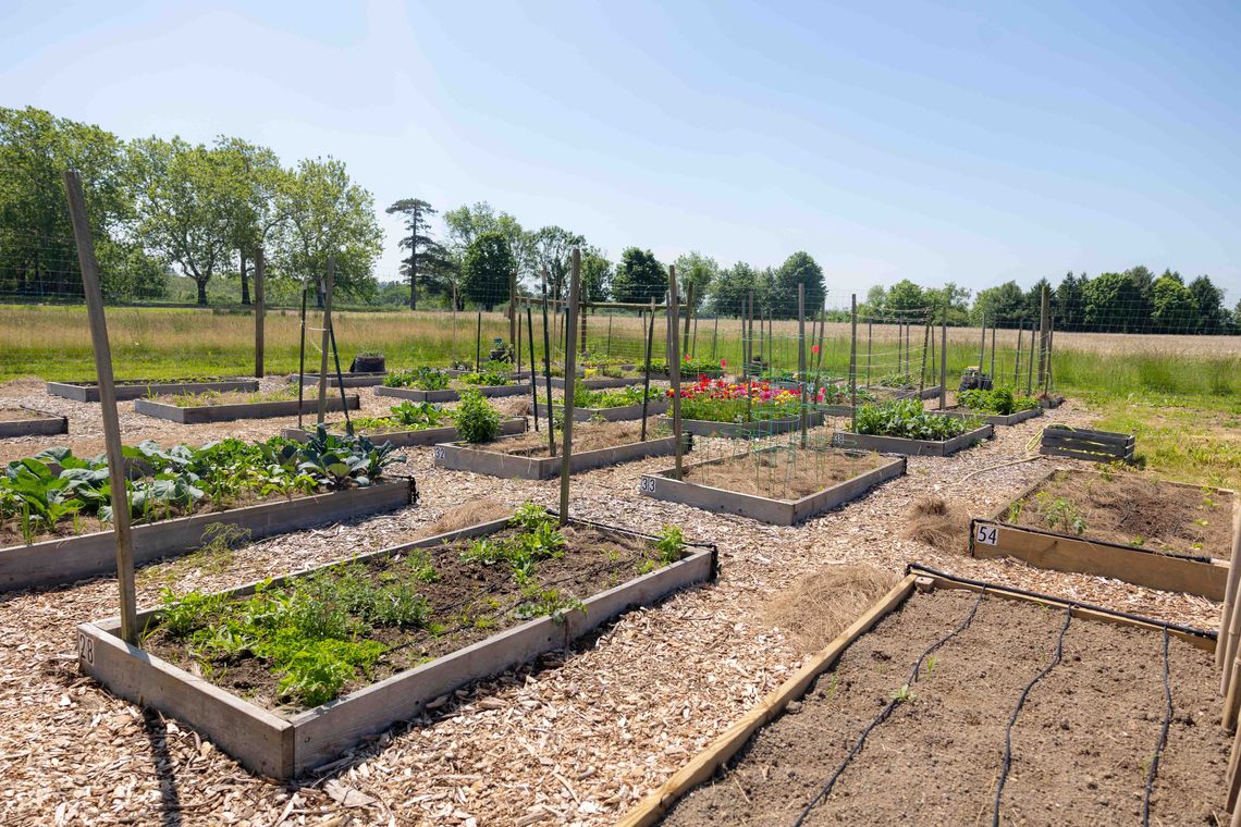 may 2024 norristown farm park credit morgan horell 53
