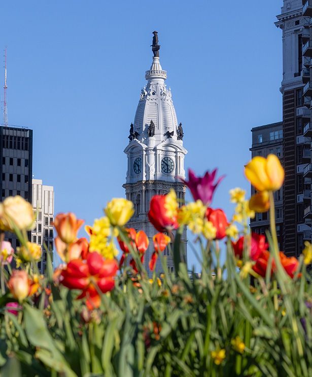 Photos of the spring bulbs at Logan Square in April 2025.