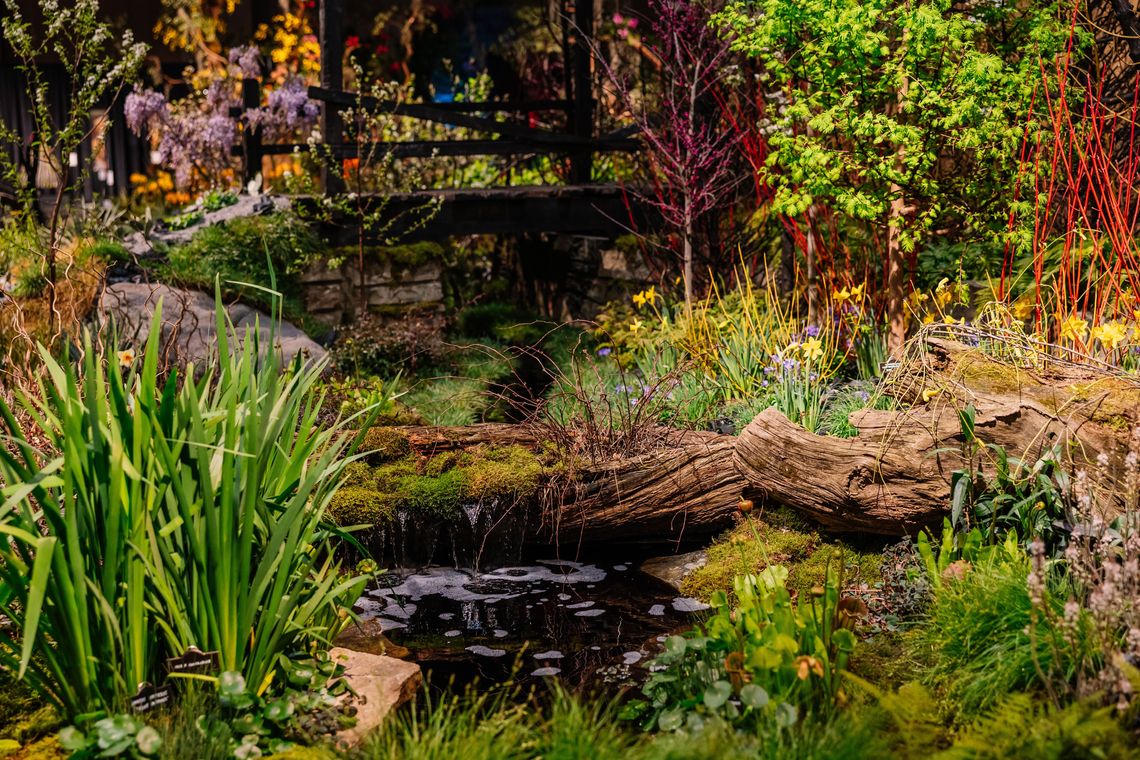 rewilding phoenix rising laurel brook gardens credit becca mathias
