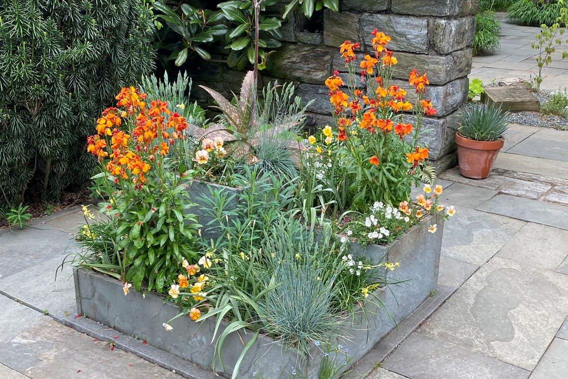 Early Spring Planting Guide: What to Plant and When