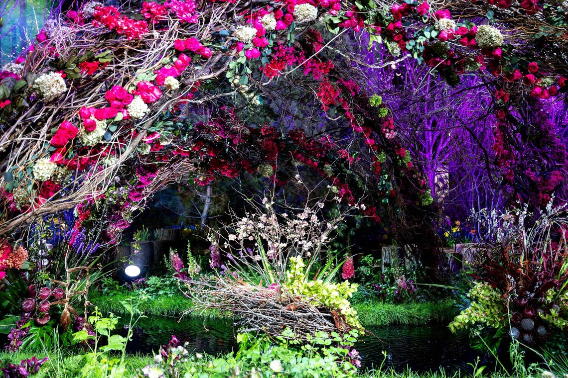 promenade phsflowershow annedelion 7