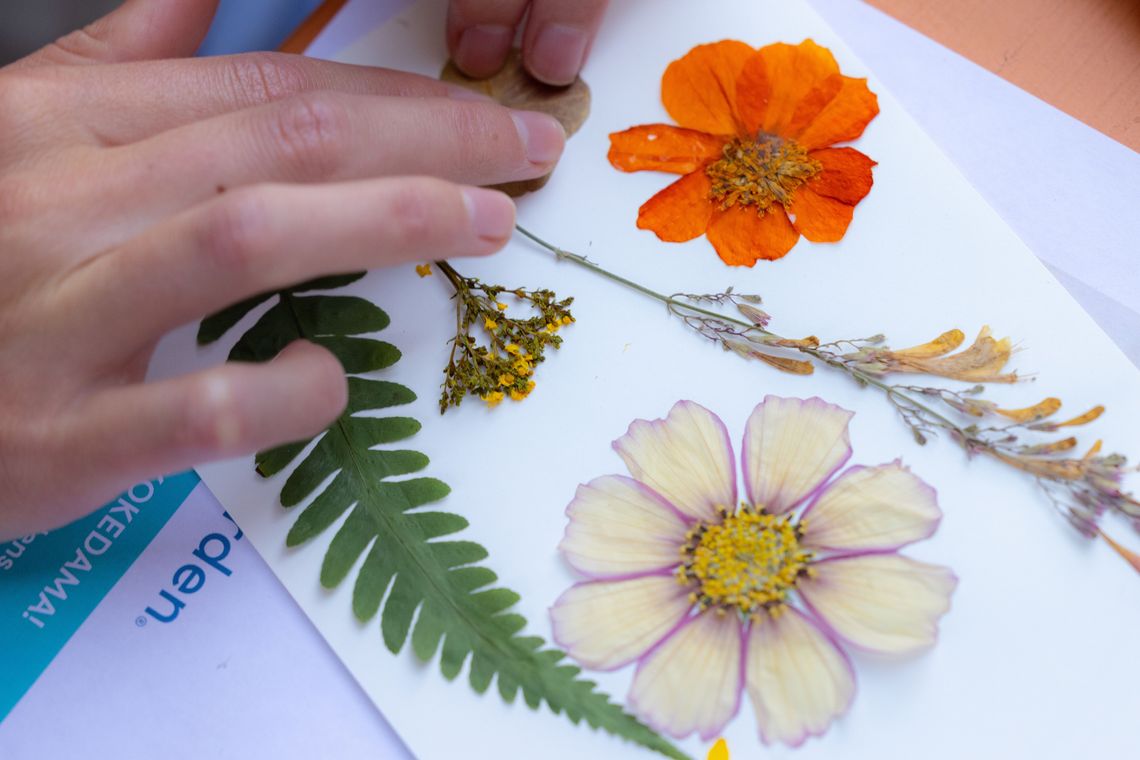 7 20 7 21 pressed flowers