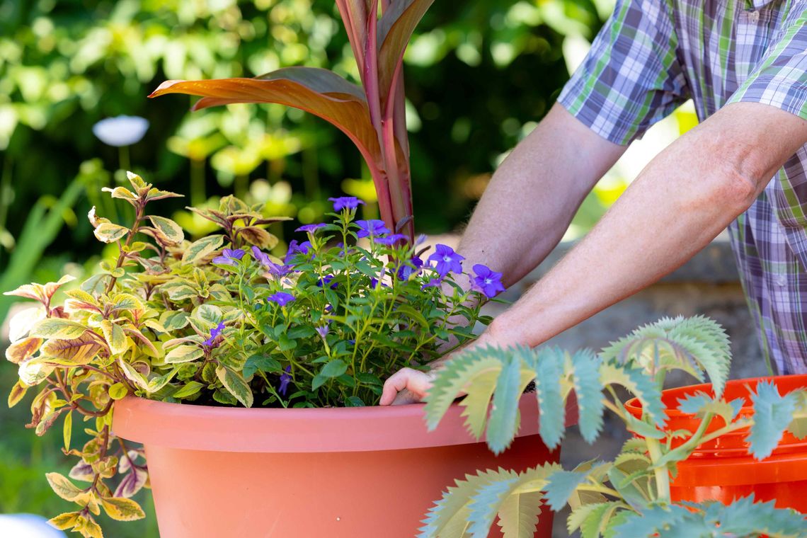 june 2024 small container gardening at meadowbrook credit morgan horell 33
