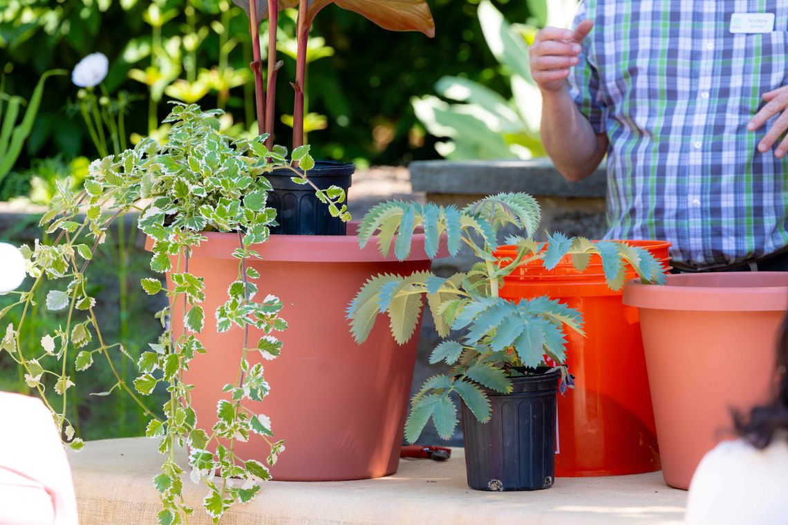 june 2024 small container gardening at meadowbrook credit morgan horell 24
