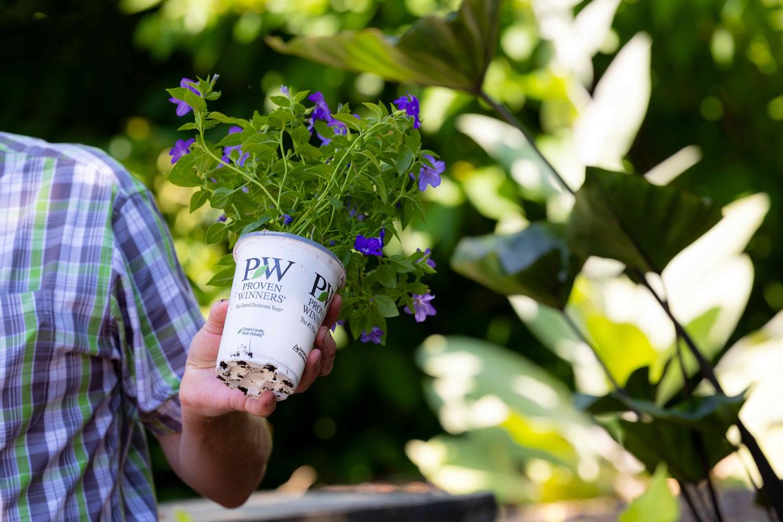 june 2024 small container gardening at meadowbrook credit morgan horell 30