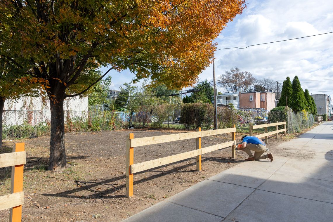 phs pollinator planting in fairhill 2025 ris productions llc 121