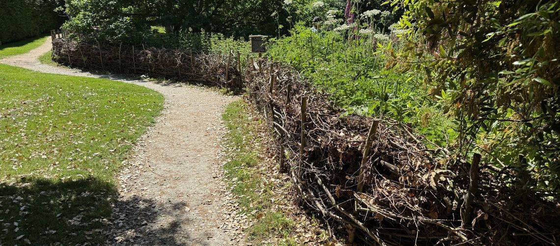 dead hedge at hidcote garden
