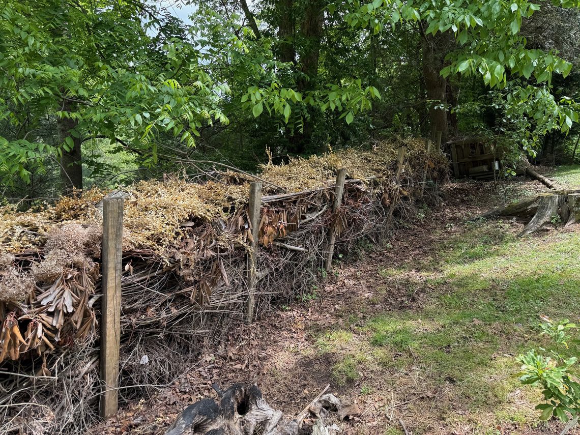 dead hedge at andra nus garden