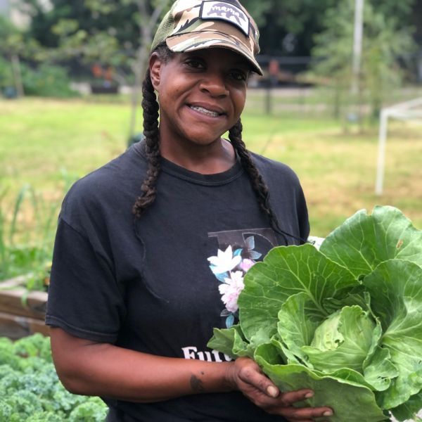 jenia cabbage