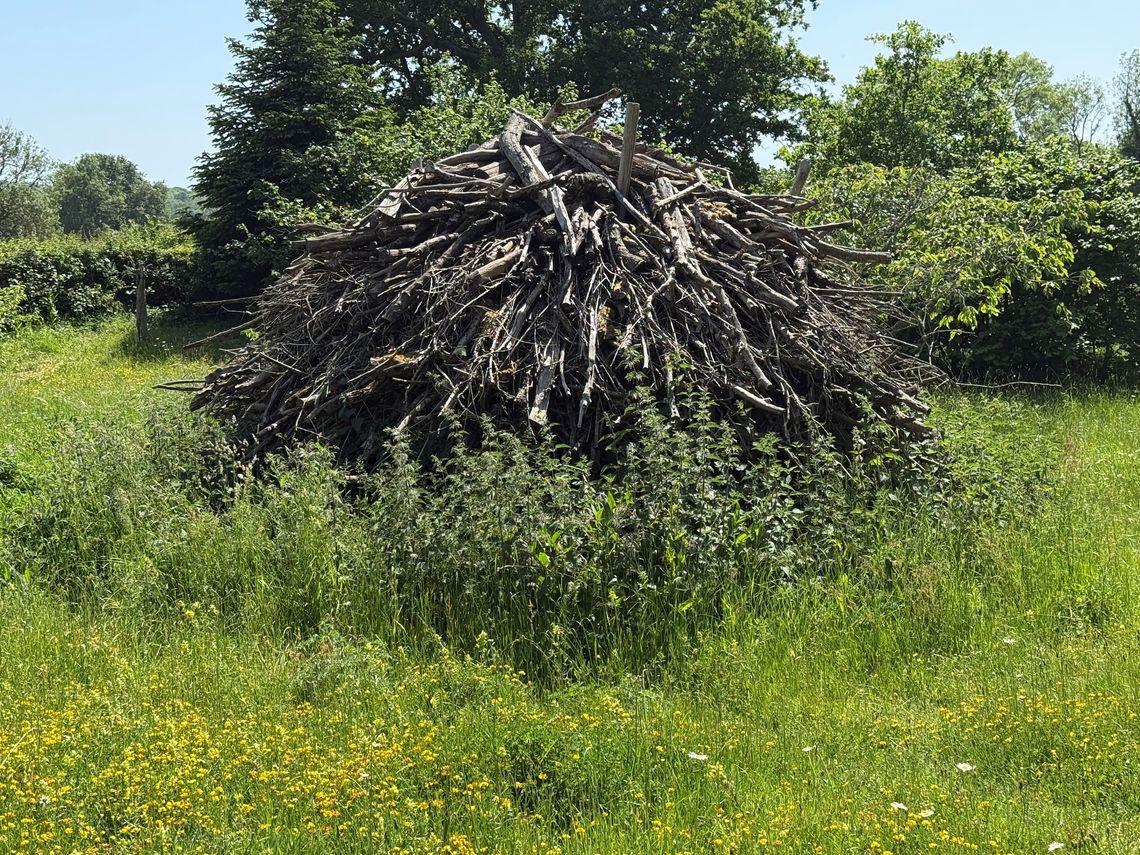 eco pile great dixter