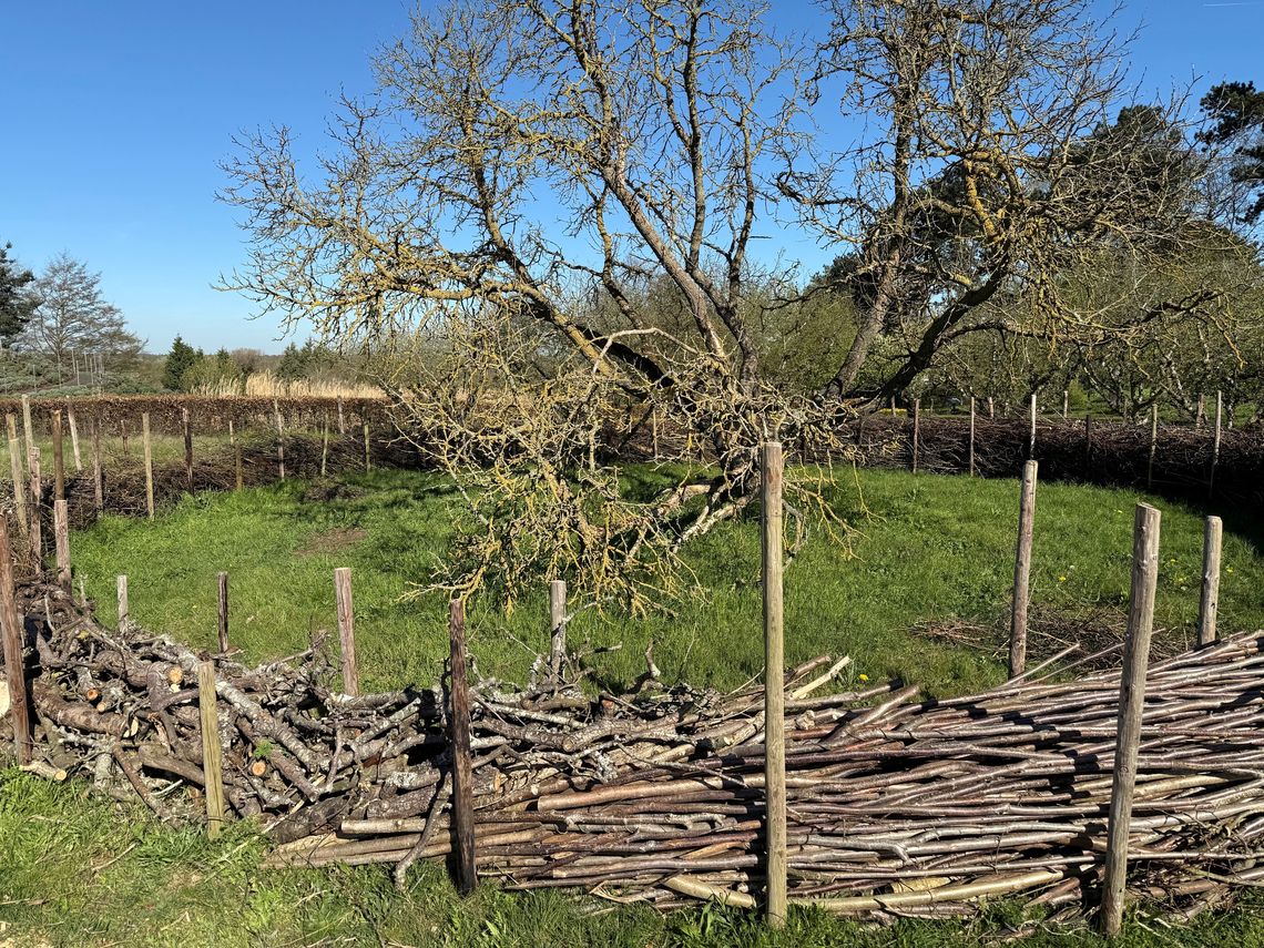dead hedge 3
