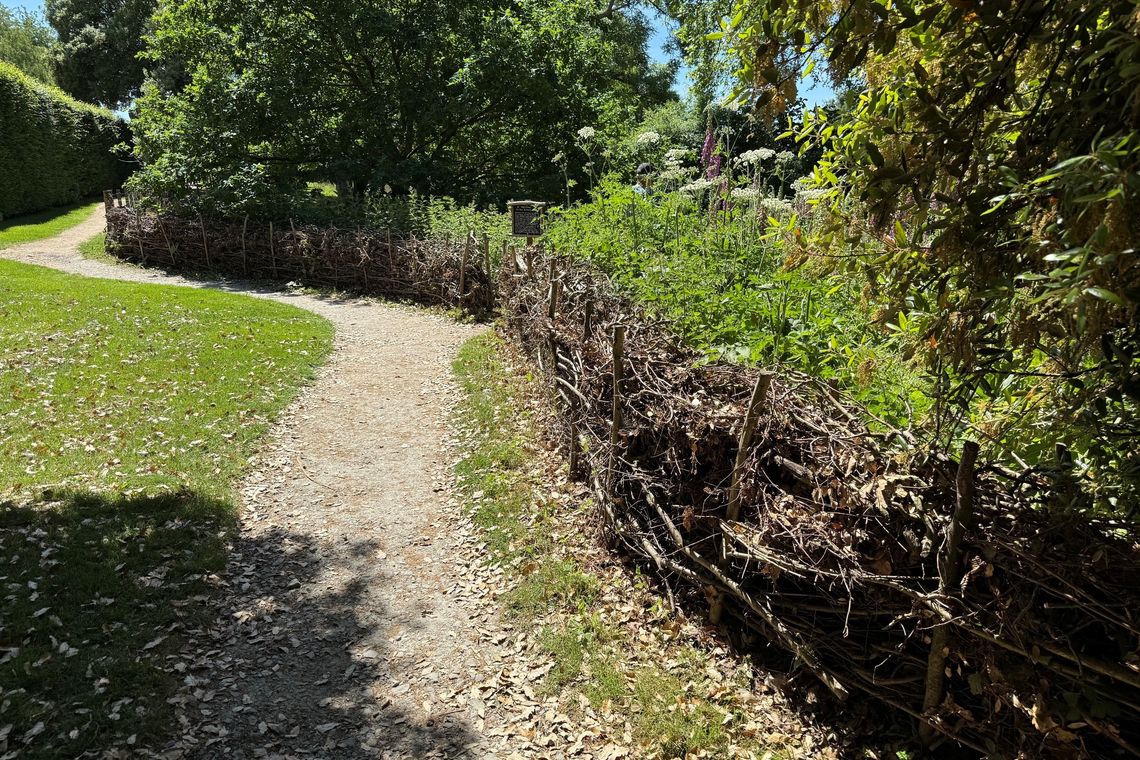 dead hedge 4