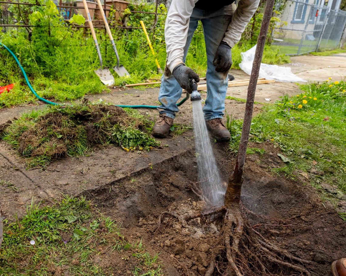 4 20 2024 germantown tree planting credit morgan horell 11