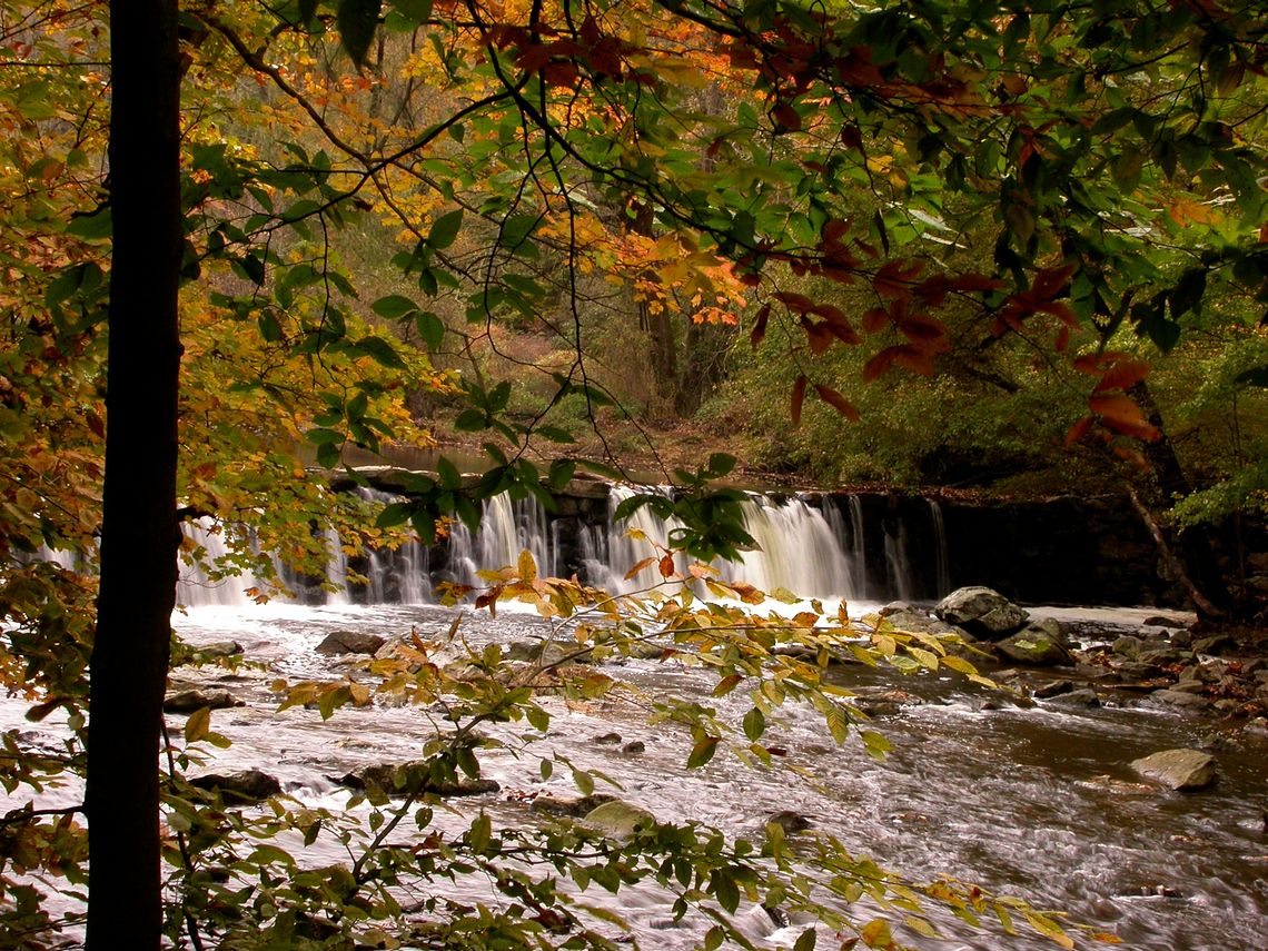 ridley creek state park amy bohr