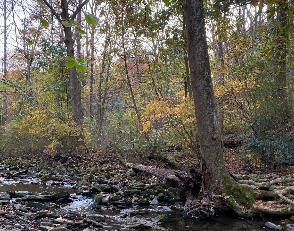 wissahickon valley