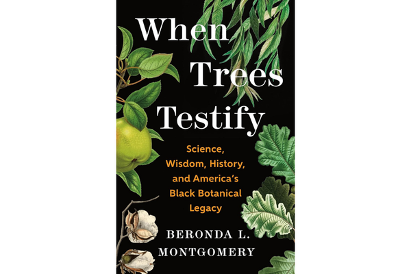 berondas book