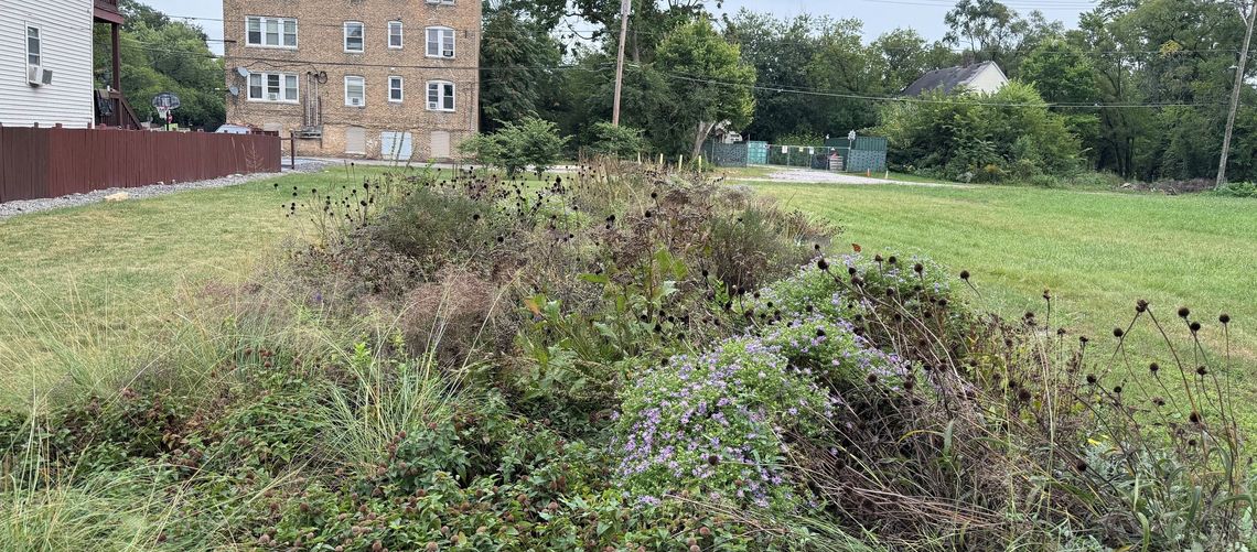 gravel garden