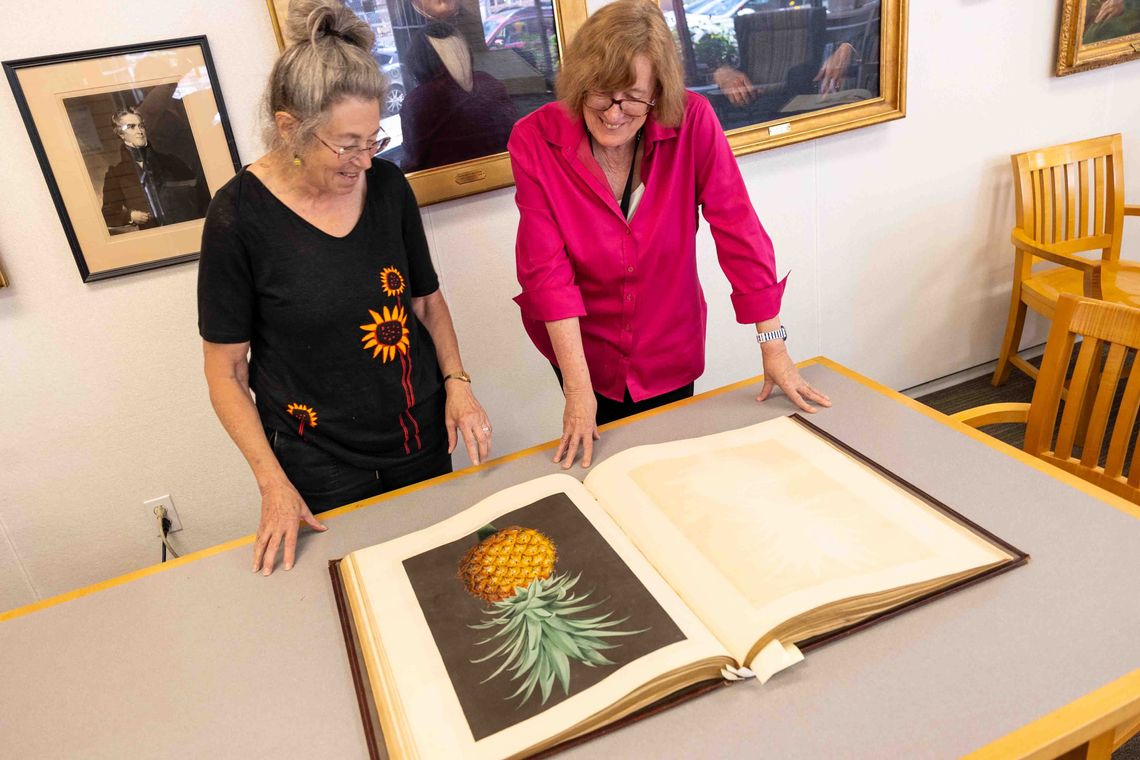 june 2024 mclean library botanical illustrations credit morgan horell 11
